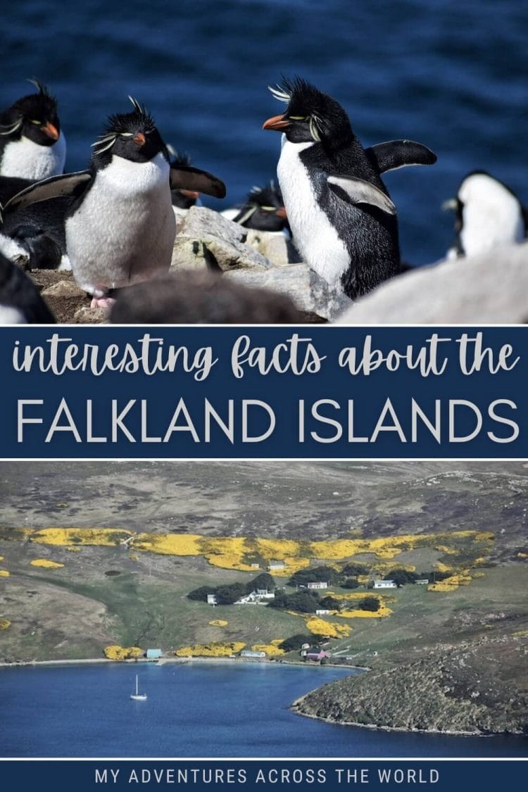 Discover the most interesting facts about the Falkland Islands - via @clautavani