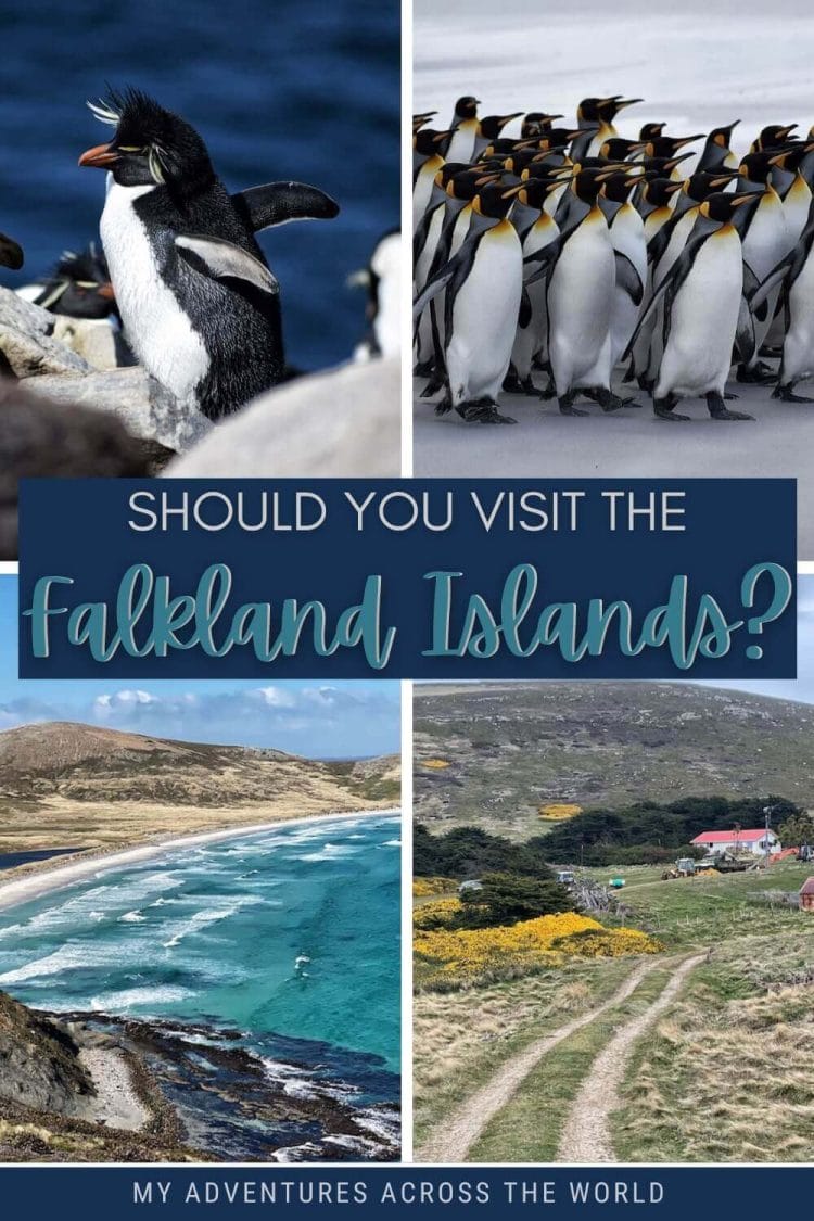 Discover the best reasons to visit the Falkland Islands - via @clautavani