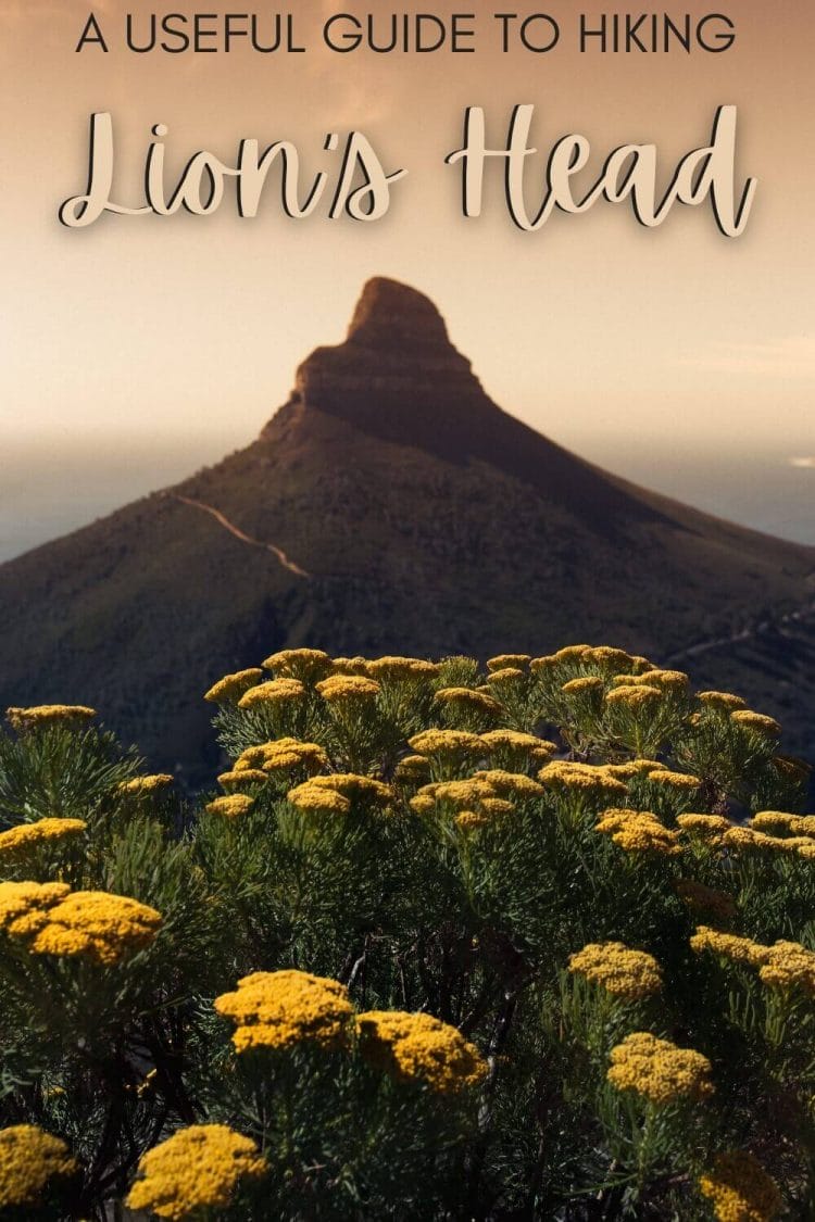 Read everything you need to know about the Lion's Head hike in Cape Town - via @clautavani