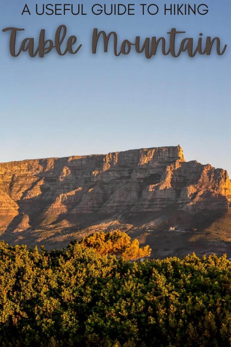 Discover what you need to know to plan your Table Mountain hike - via @clautavani
