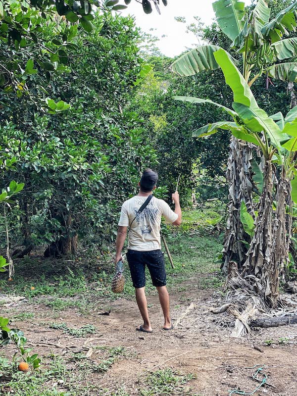 Tambopata National Reserve