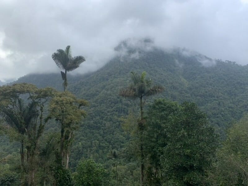 Ciudad Perdida trek