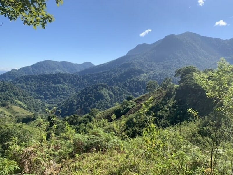 Ciudad Perdida
