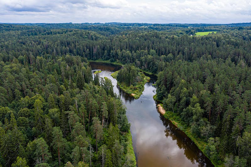 Gauja National Park Latvia