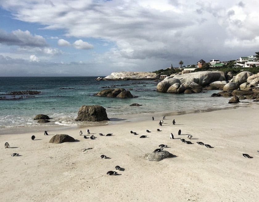 Cape Town Beaches
