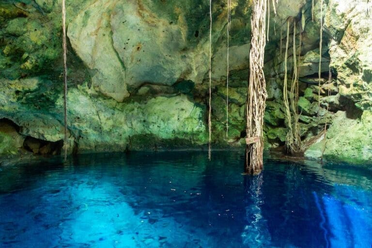 13 + Best Merida Cenotes