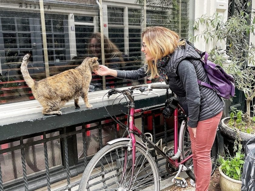 cats of Amsterdam