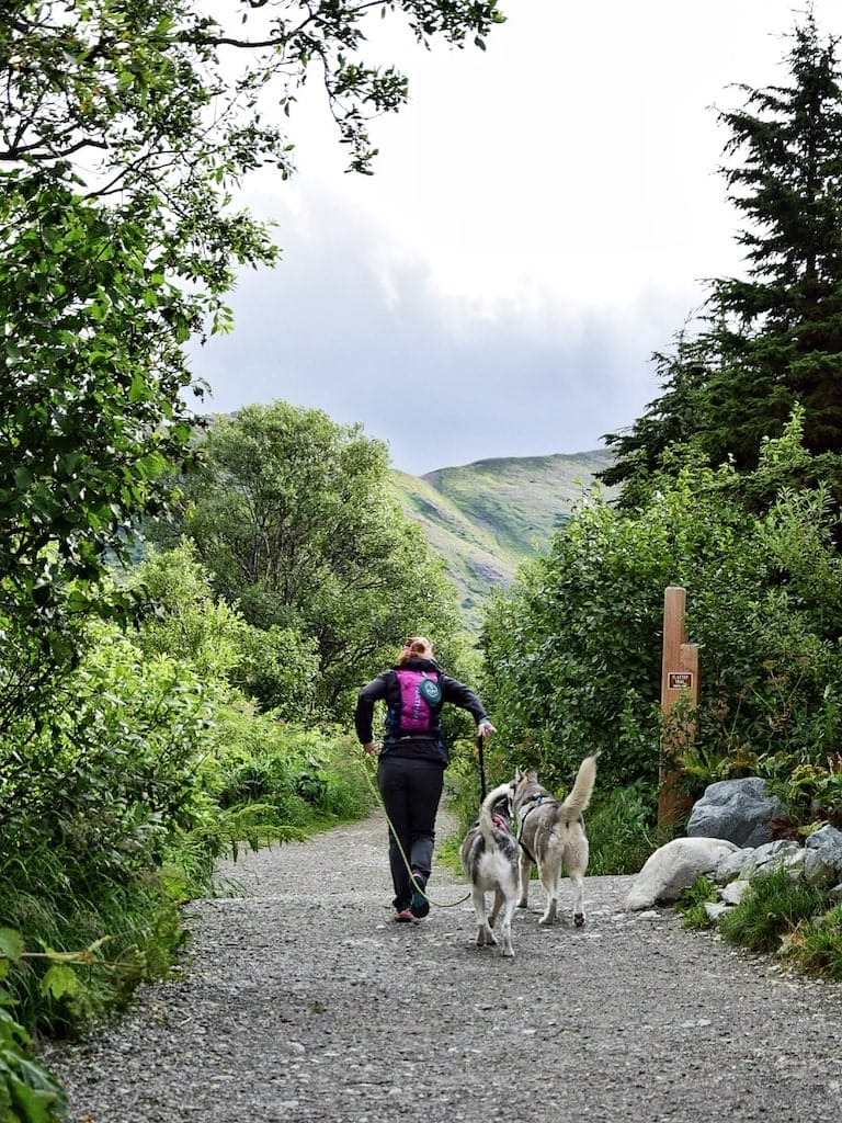 hiking with dogs in Alaska