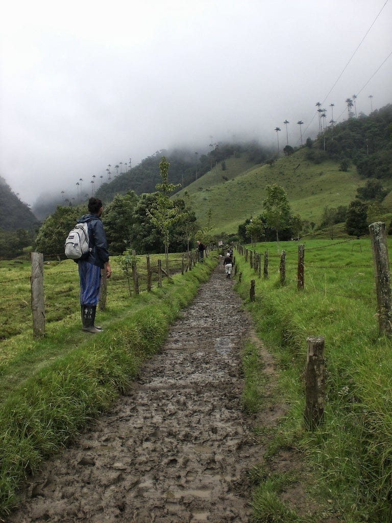 Valle de Cocora hike