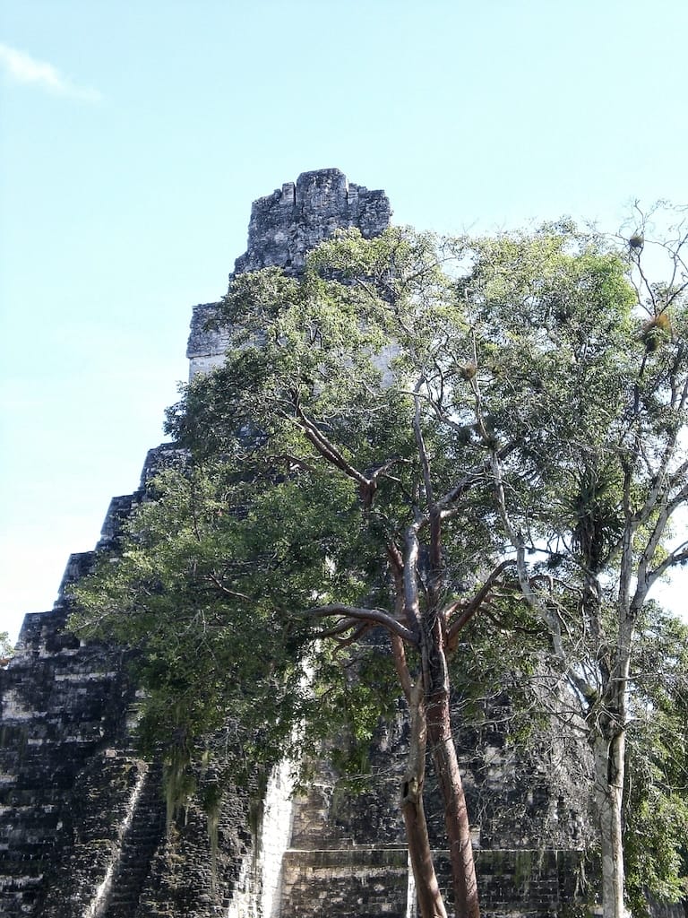 visit Tikal